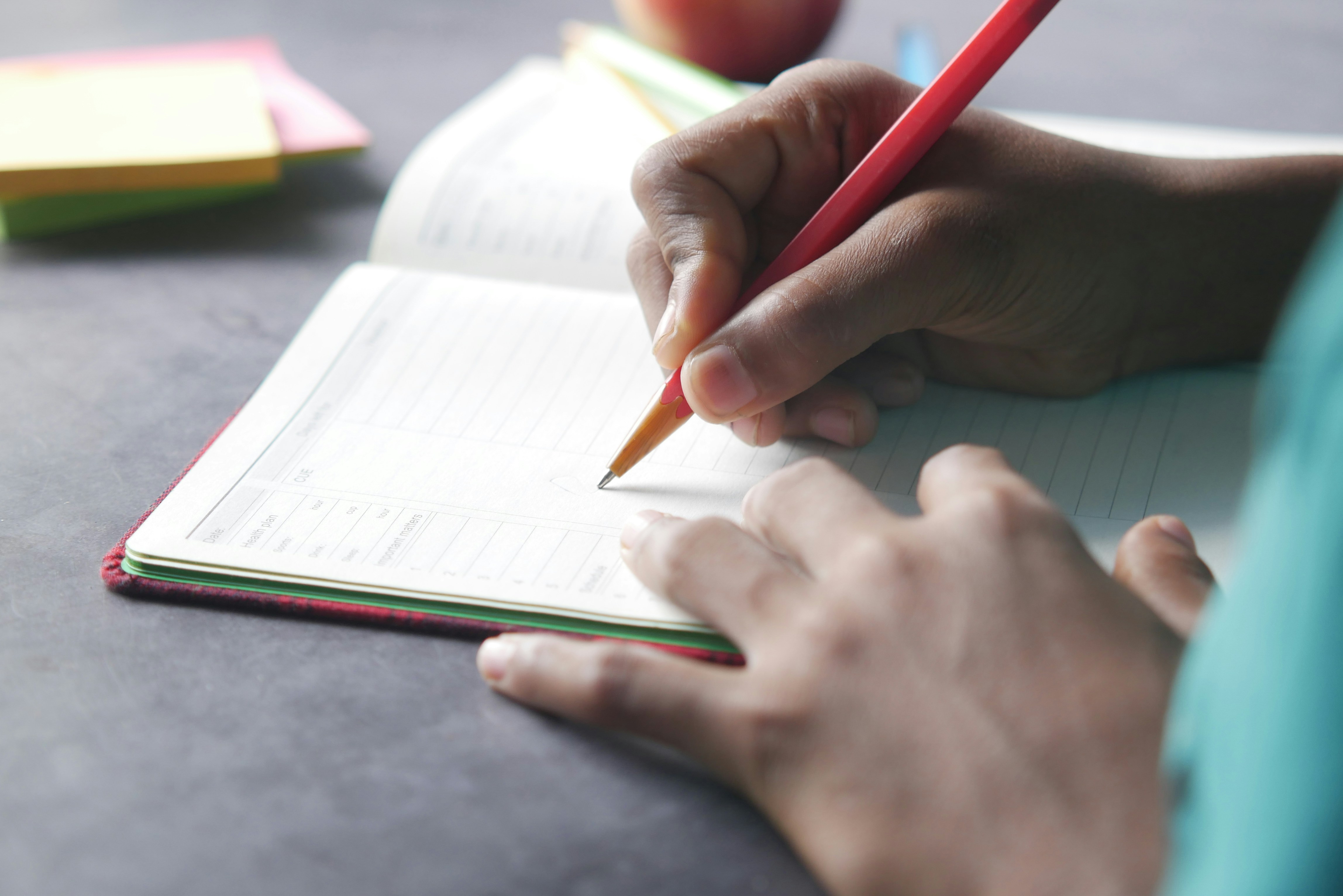 Essay & Artikel